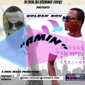  GOLDEN BOY  - IRE NITEMI